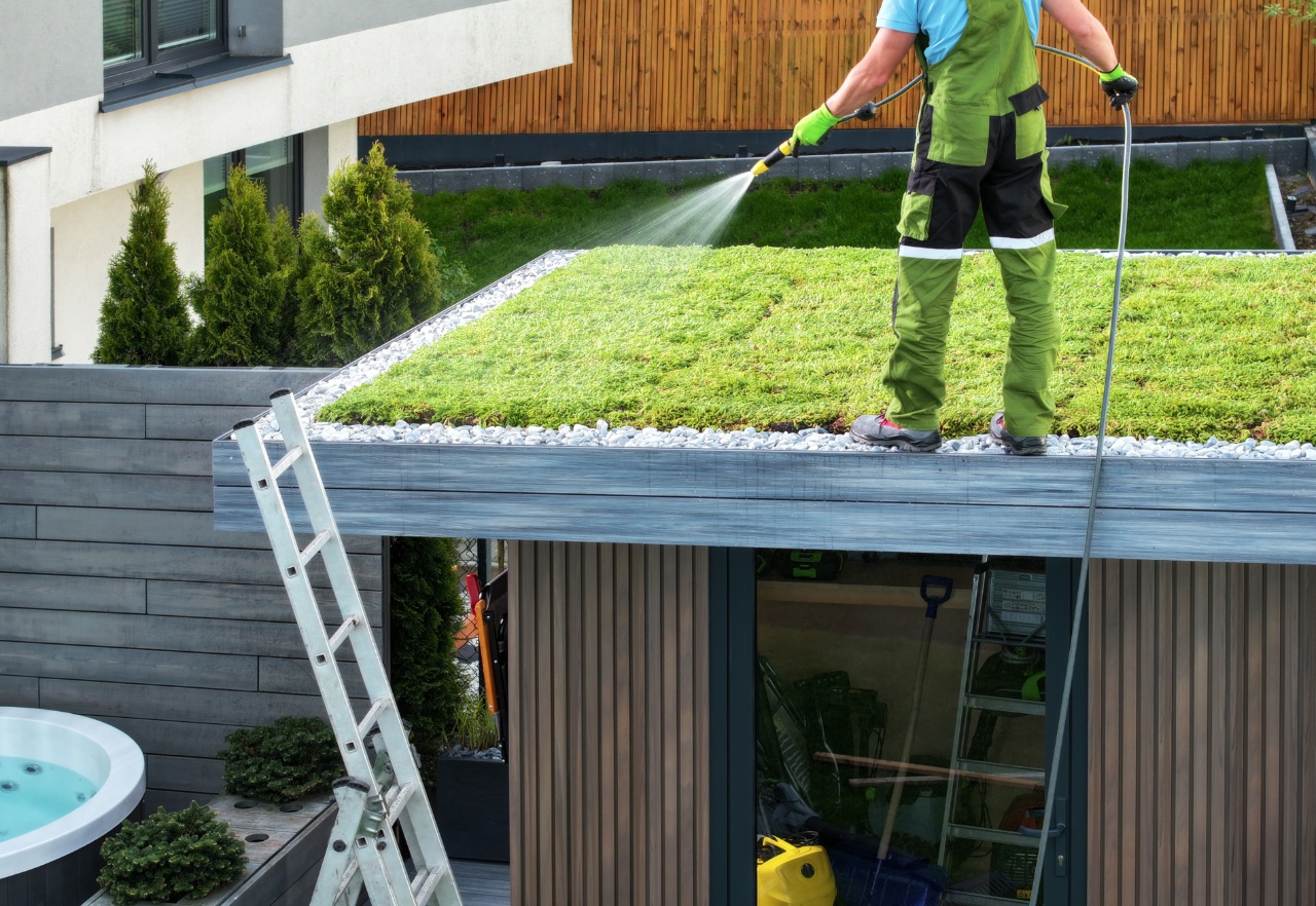 Groen dak | Go Sunny | Duurzame energie